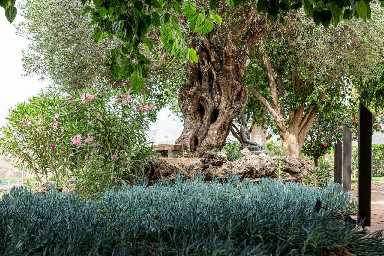 Finca Las Hierbas B&B Alora Buitenkant foto