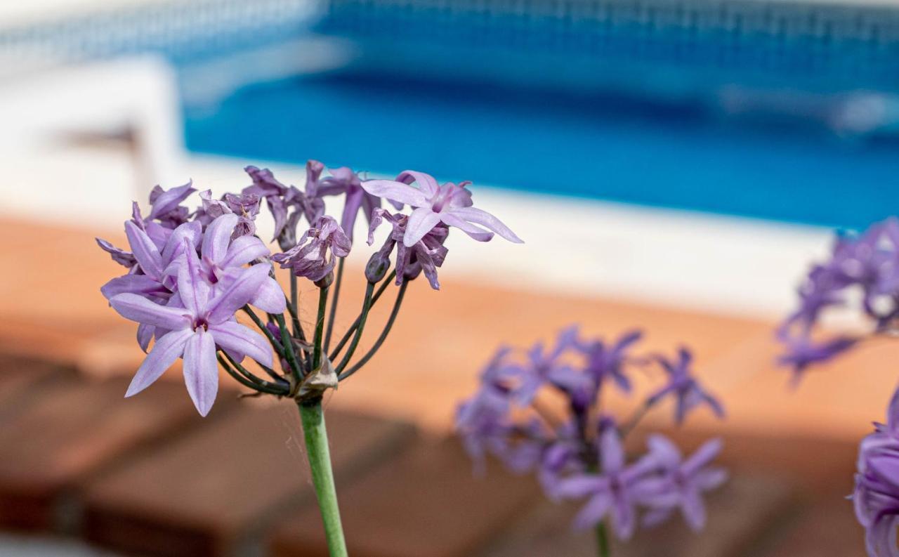 Finca Las Hierbas B&B Alora Buitenkant foto